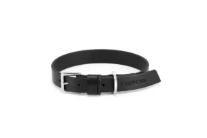 Labbvenn Kollu dog collar black