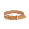 Labbvenn kollu collar camel