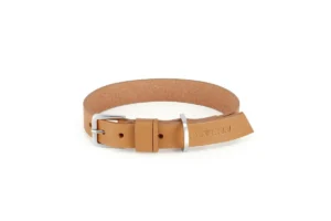 Labbvenn kollu collar camel