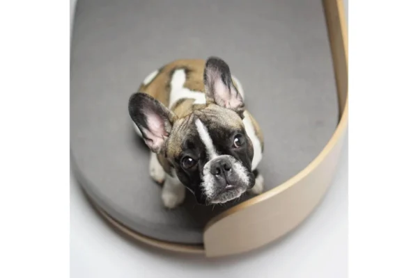 labbvenn-labbvenn-loue-hondensofa (5) Labbvenn Loue dog sofa