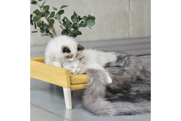 Labbvenn set Kikko & Lulu honey