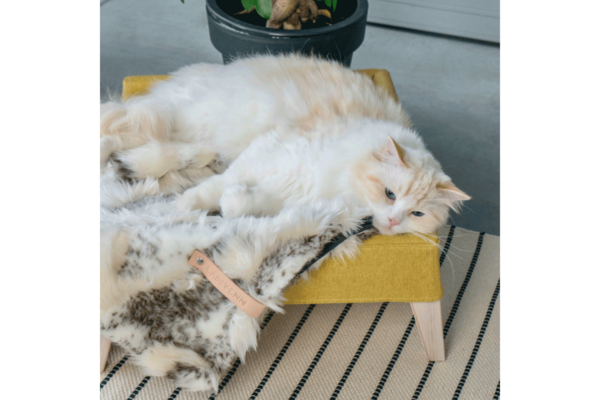 Labbvenn set Kikko & Lulu honey