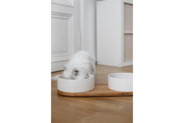 Labbvenn Vuku Ceramic Double Feeding Bowl Set White