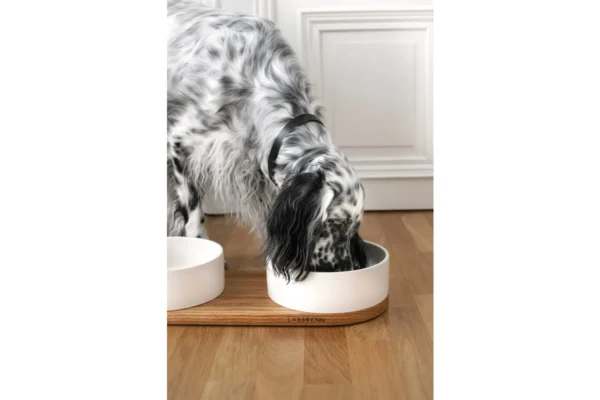 Labbvenn Vuku Ceramic Double Feeding Bowl Set White