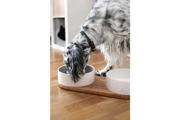 Labbvenn Vuku Ceramic Double Feeding Bowl Set White