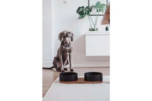 Labbvenn Vuku Ceramic Double Feeding Bowl Set White