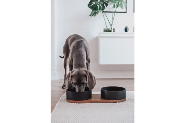 Labbvenn Vuku Ceramic Double Feeding Bowl Set White