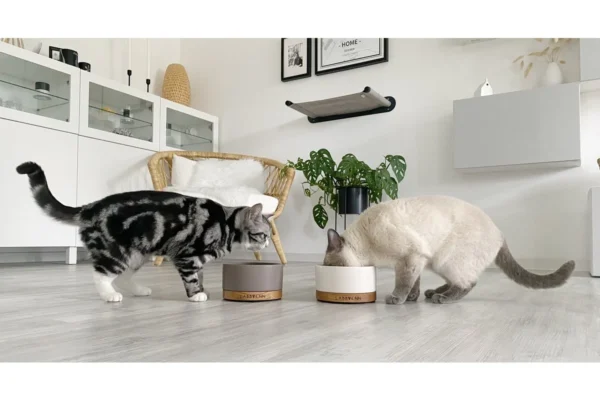 Labbvenn Vuku Ceramic Feeding Bowl Set Cacao Single