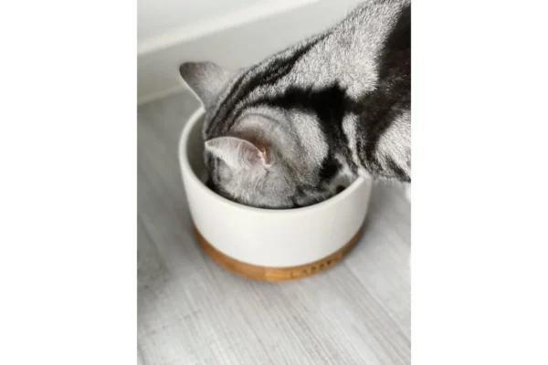 Labbvenn Vuku Ceramic Feeding Bowl Set Cacao Single