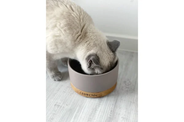 Labbvenn Vuku Ceramic Feeding Bowl Set Cacao Single