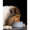 Laboni Design feeding bowl Rocky
