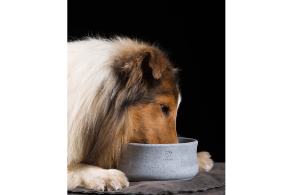 Laboni Design feeding bowl Rocky
