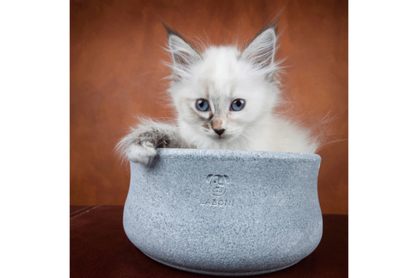 Laboni Design feeding bowl Rocky