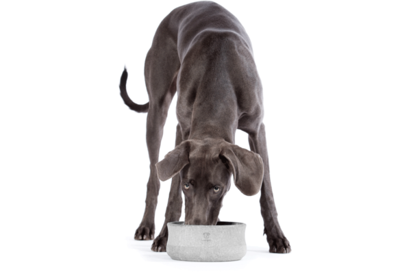 Laboni Design feeding bowl Rocky