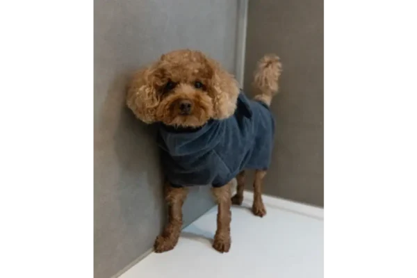 miacara-cane-bagno-hondenbadjas-midnight Cane Bagno, Hondenbadjas, Midnight