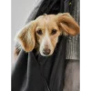 miacara-cane-borsa-hondendraagtas-zwart (2) Cane Borsa, Dog Carrier, Black