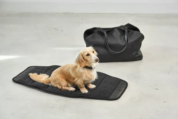 miacara-cane-borsa-hondendraagtas-zwart (4) Cane Borsa, Dog Carrier, Black