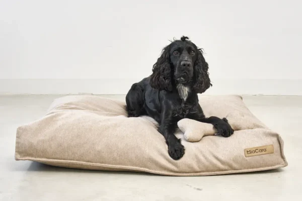 miacara-cane-calma-speelgoedbot-zand (2) Cane Calma, Toy Bone, Sand