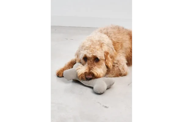 miacara-cane-comodo-speelgoedbot-greige (1) Cane Comodo, Speelgoedbot, Greige