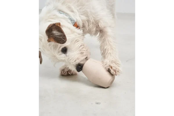 Cane Cono, Activiteit Speelgoed, Greige