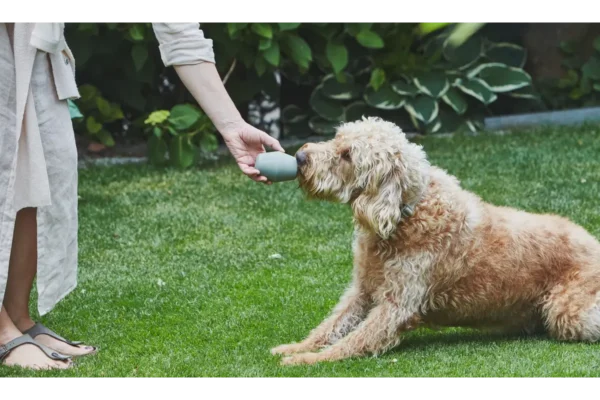 miacara-cane-cono-activiteit-speelgoed-salie (1) Cane Cono, Activity Toys, Sage