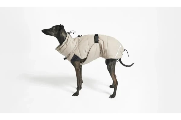 Cane Cosima, Winter Coat, Sand