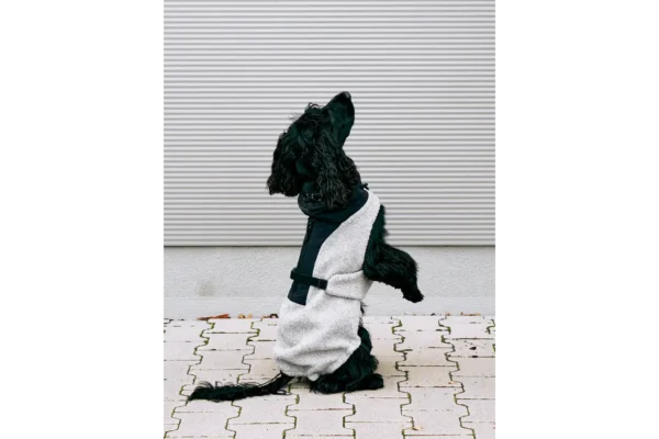 miacara-cane-emilia-hondenjas-kiezel-zwart (3) Cane Emilia, Hondenjas, KiezelZwart