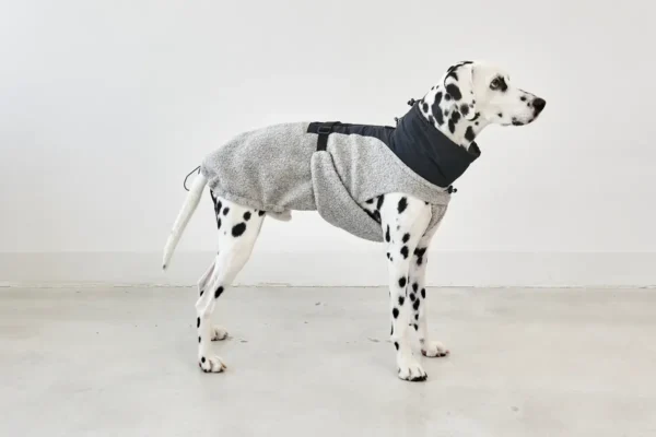 miacara-cane-emilia-hondenjas-kiezel-zwart (4) Cane Emilia, Hondenjas, KiezelZwart