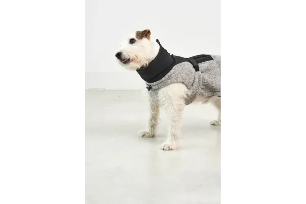 miacara-cane-emilia-hondenjas-kiezel-zwart (6) Cane Emilia, Hondenjas, KiezelZwart