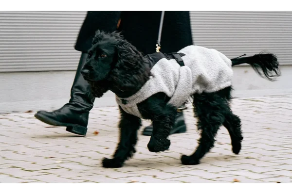 miacara-cane-emilia-hondenjas-kiezel-zwart (7) Cane Emilia, Hondenjas, KiezelZwart