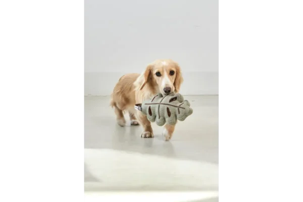 Cane Foresta, Sniffing Toy, Leaf