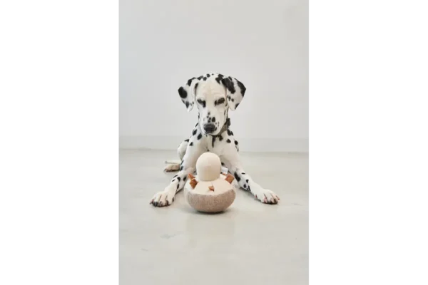 Cane Foresta, Sniffing Toy, Mushroom