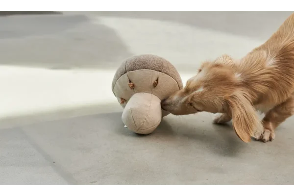 Cane Foresta, Sniffing Toy, Mushroom