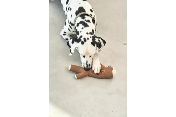 Cane Foresta, Sniffing Toy, Branch