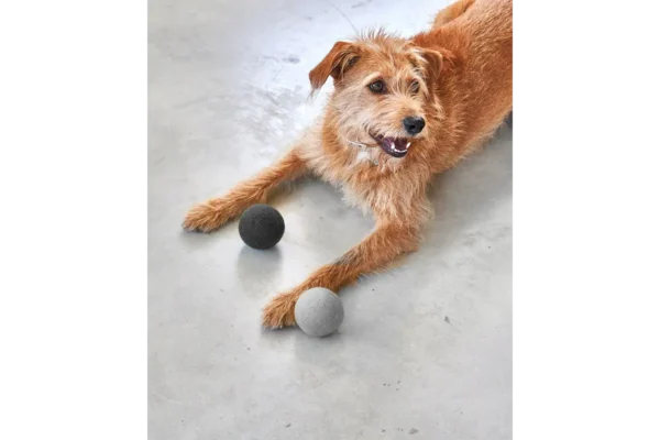 Cane Globo, Hondenspeelbal, Beton