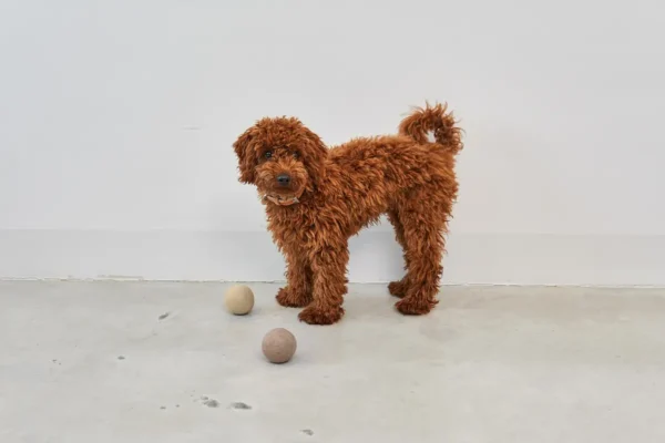 Cane Globo, Dog Toy Ball, Nougat