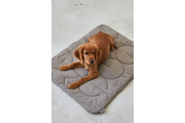 miacara-cane-linea-gewatteerde-deken-mocca (1) Cane Linea, Quilted Blanket, Mocha