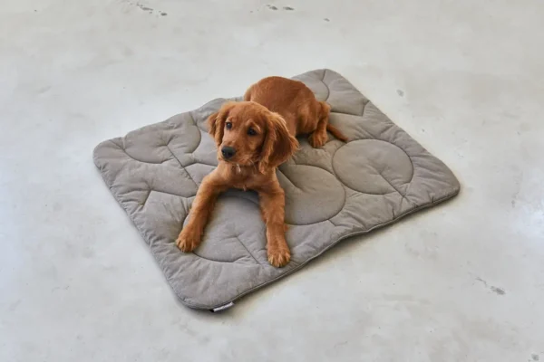 miacara-cane-linea-gewatteerde-deken-mocca (2) Cane Linea, Quilted Blanket, Mocha