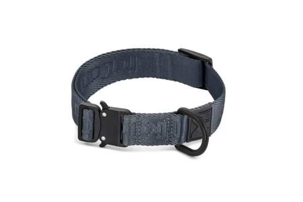 Cane Modena, Dog Collar, Asphalt