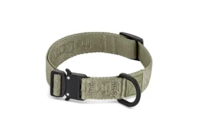 Cane Modena, Dog Collar, Grolive