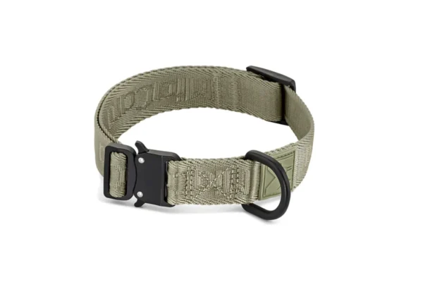miacara-cane-modena-hondenhalsband-grolive Cane Modena, Dog Collar, Grolive