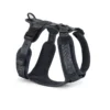 Cane Modena, Dog Harness, Asphalt