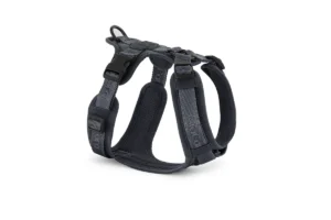 Cane Modena, Dog Harness, Asphalt