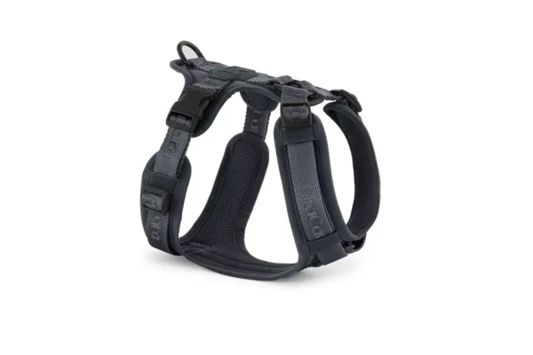 Cane Modena, Dog Harness, Asphalt