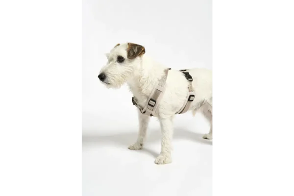 miacara-cane-modena-hondentuig-greige (1) Cane Modena, Dog Harness, Greige