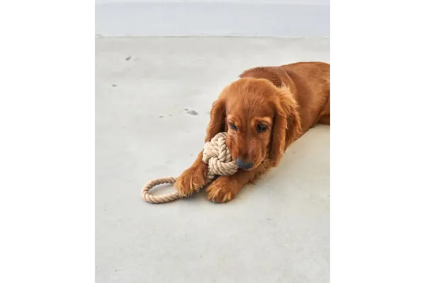 Cane Nodo, Rope Toy, Greige