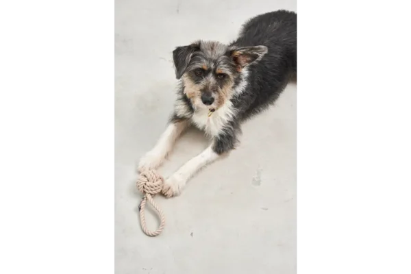 Cane Nodo, Rope Toy, Greige