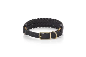 Cane Palermo, Dog Collar, Black