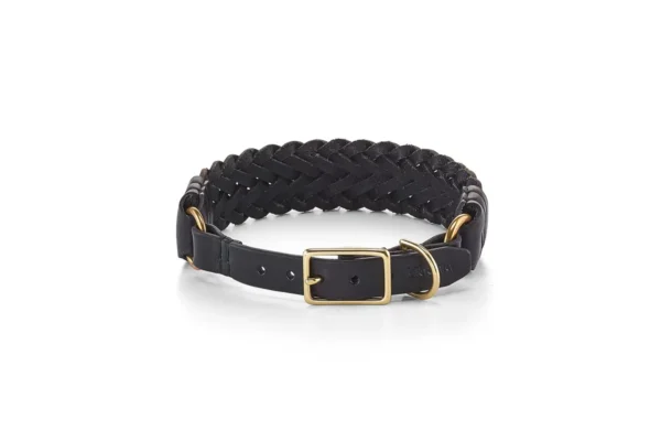 Cane Palermo, Dog Collar, Black