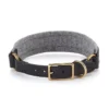 Cane Siena, Collar, BlackFelt Gray
